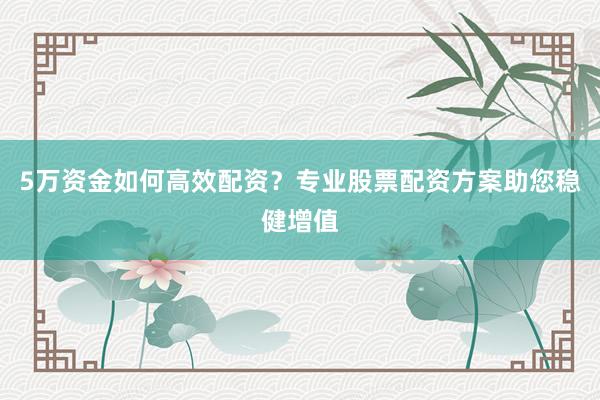5万资金如何高效配资？专业股票配资方案助您稳健增值