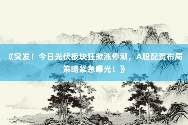 《突发！今日光伏板块狂掀涨停潮，A股配资布局策略紧急曝光！》