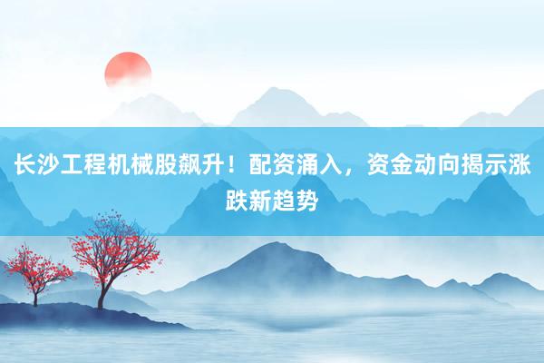 长沙工程机械股飙升!配资涌入,资金动向揭示涨跌新趋势