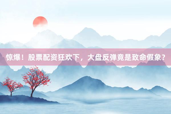 惊爆！股票配资狂欢下，大盘反弹竟是致命假象？