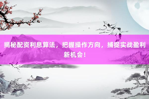 揭秘配资利息算法，把握操作方向，捕捉实战盈利新机会！