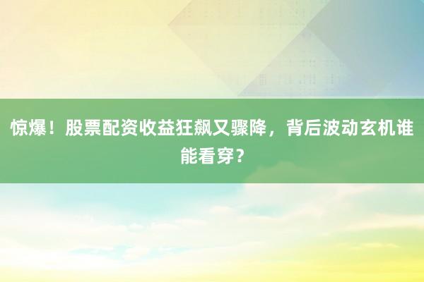 惊爆！股票配资收益狂飙又骤降，背后波动玄机谁能看穿？