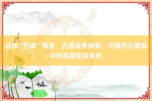台风“巴威”将至,元鼎证券揭秘:中国石化重组中的股票配资良机
